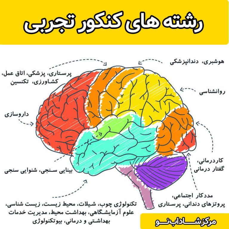 رتبه کنکور تجربی